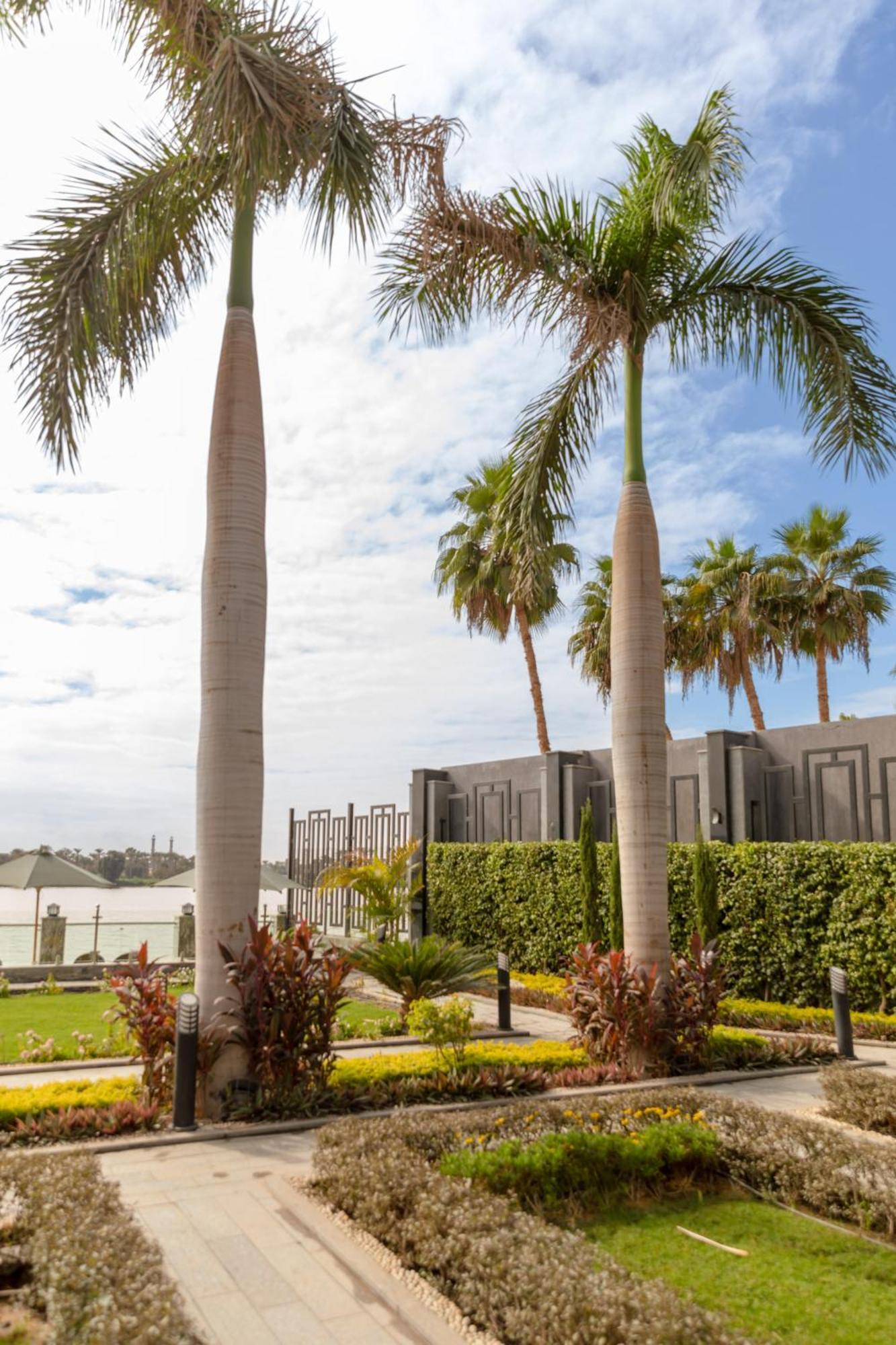 Nile Club فندق القاهرة