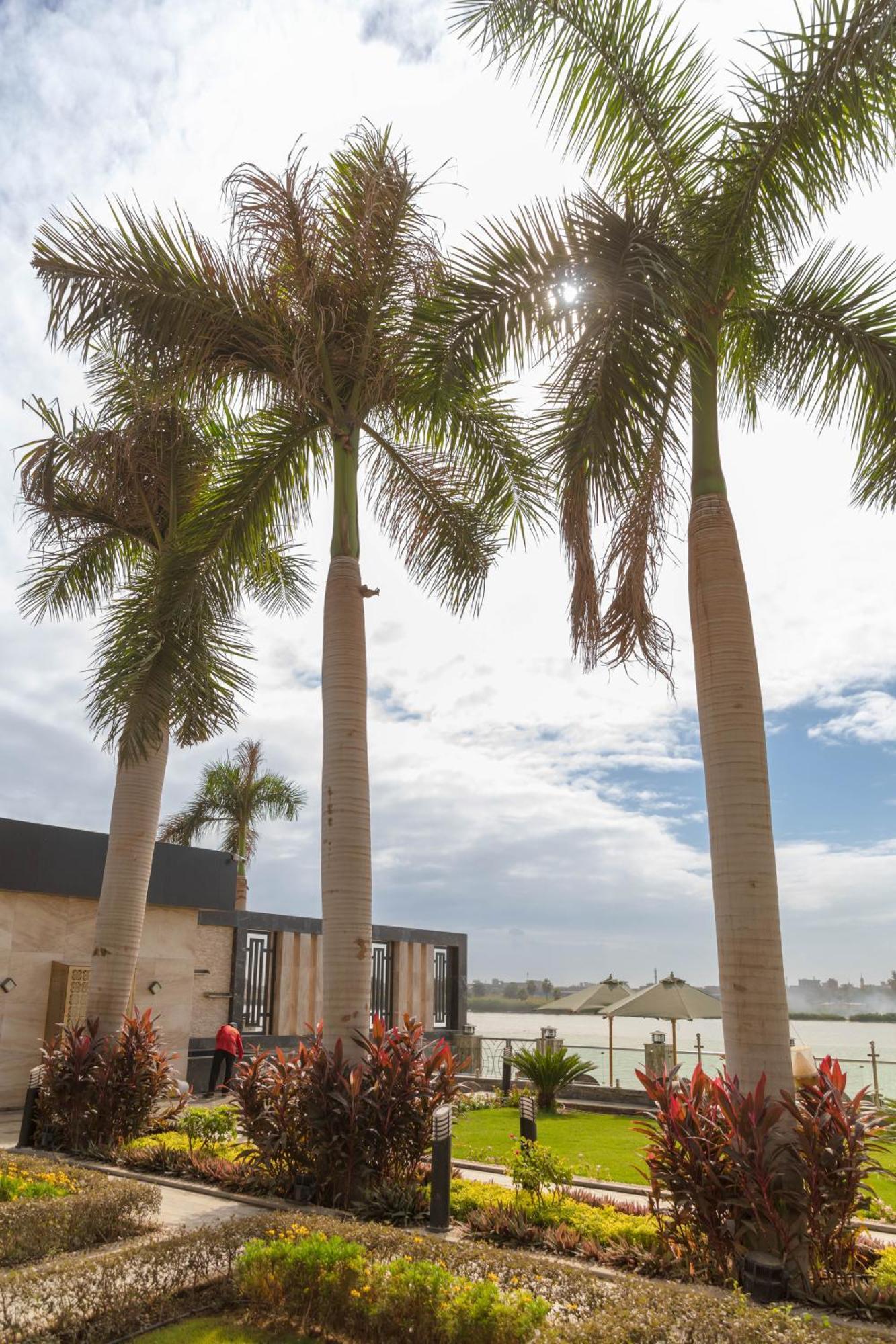 Nile Club